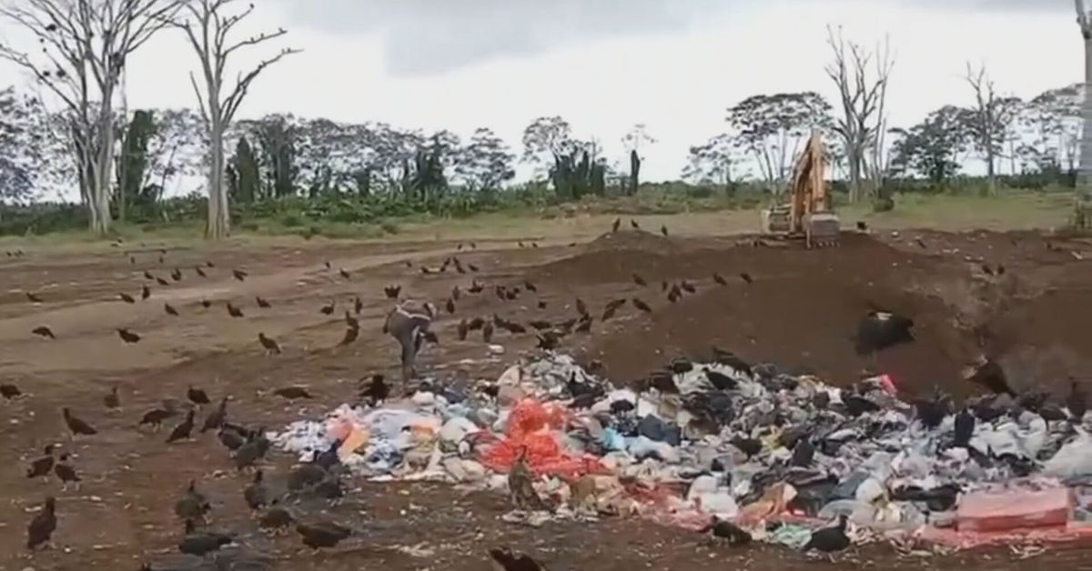 Bocas del Toro busca un nuevo sitio para depositar la basura ante vencimiento de convenio